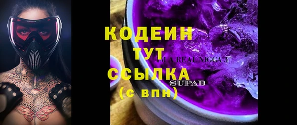 дживик Бронницы