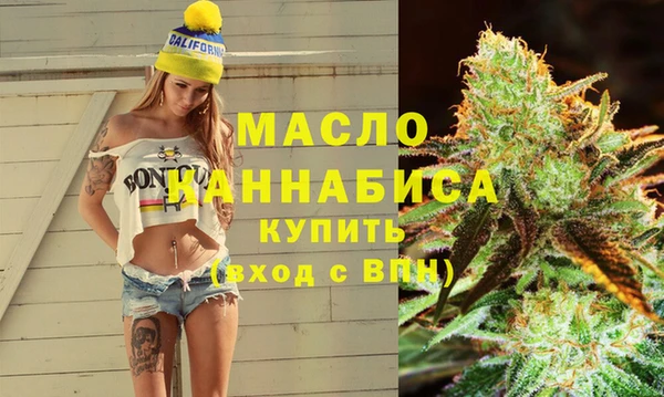 дживик Бородино