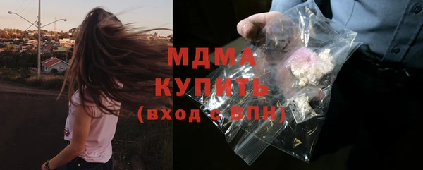 гидра Богданович