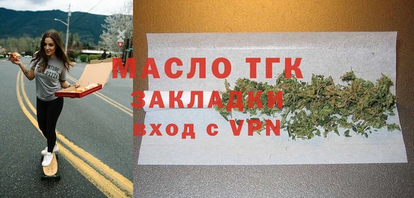 дживик Бородино