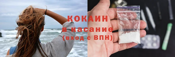 дживик Бронницы