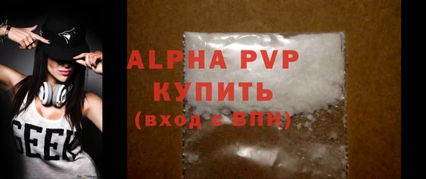 дживик Бородино