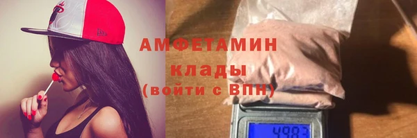 дживик Бородино