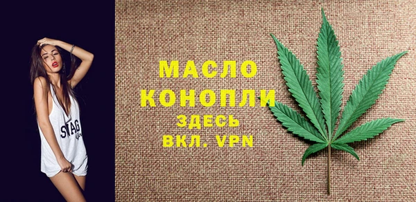 дживик Бронницы