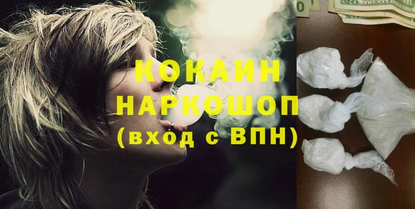 гидра Богданович