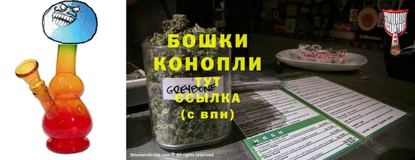 дживик Бронницы