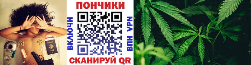 где продают   Гулькевичи  Канабис семена 
